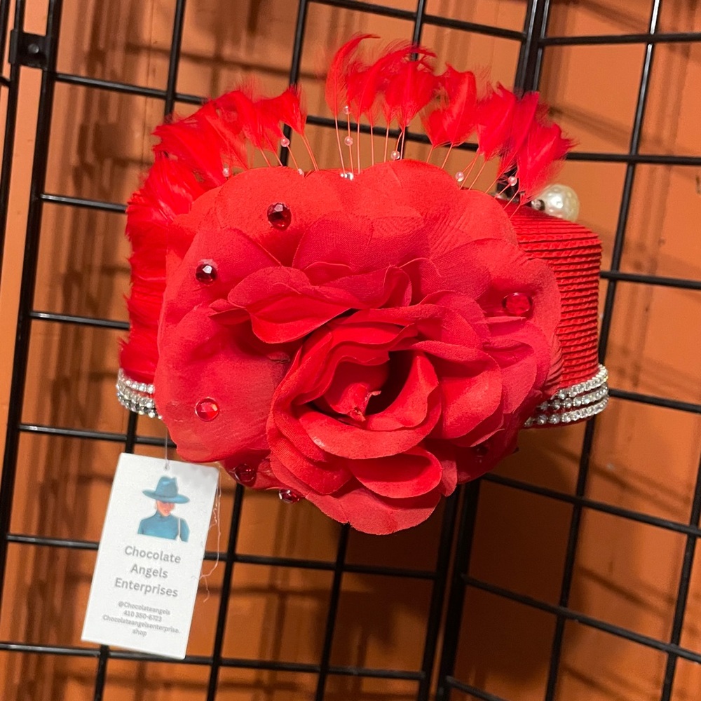Elegant Red Feathered Hat
